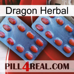 Dragon Herbal 05